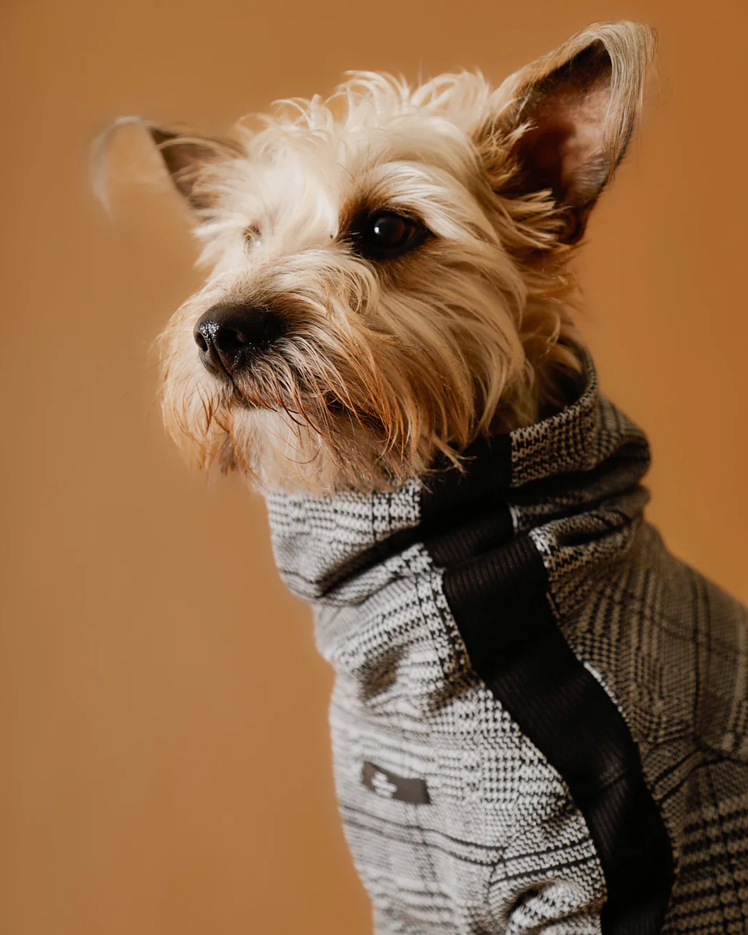 Plaid Black and White Jaqcuard Turtleneck Sweater YVES