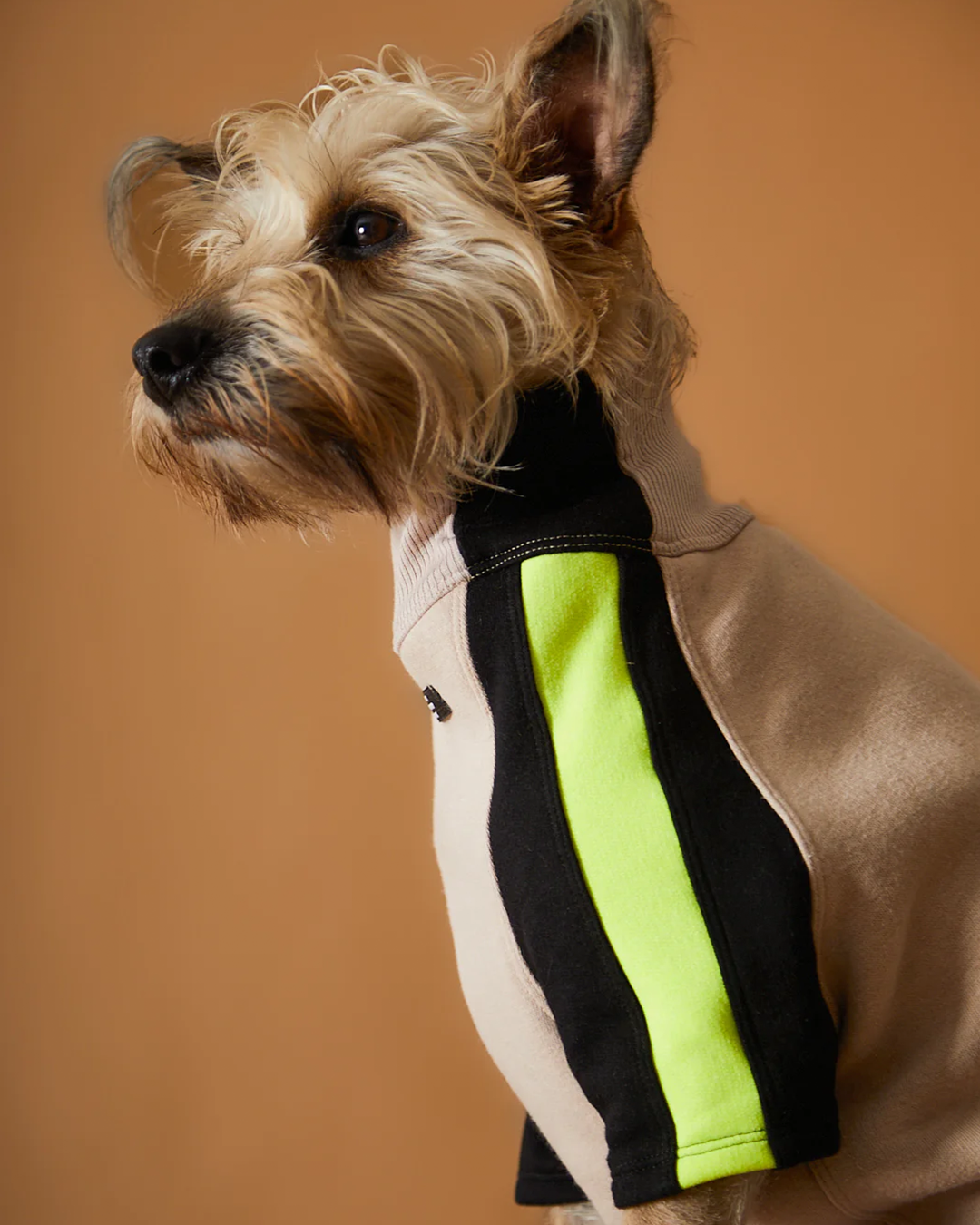 Turtleneck Sweater BELLE