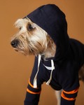 Dark Blue Hoodie BRIE THE STRIPED DOG