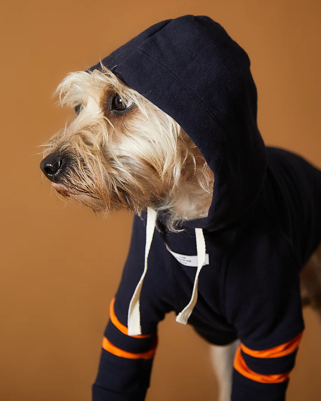 Dark Blue Hoodie BRIE