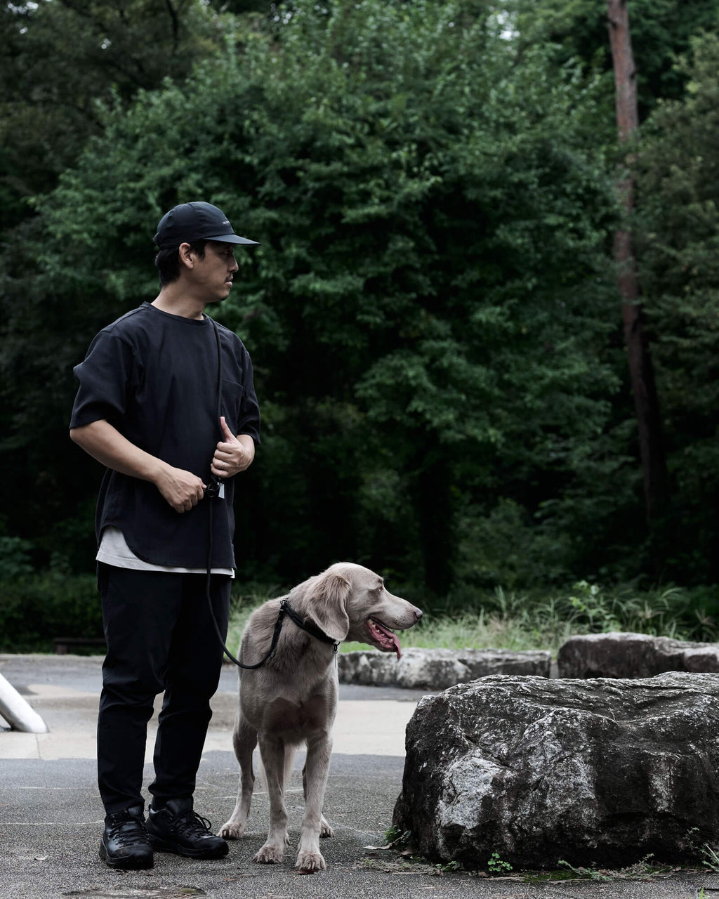 THE SHOULDER LEASH