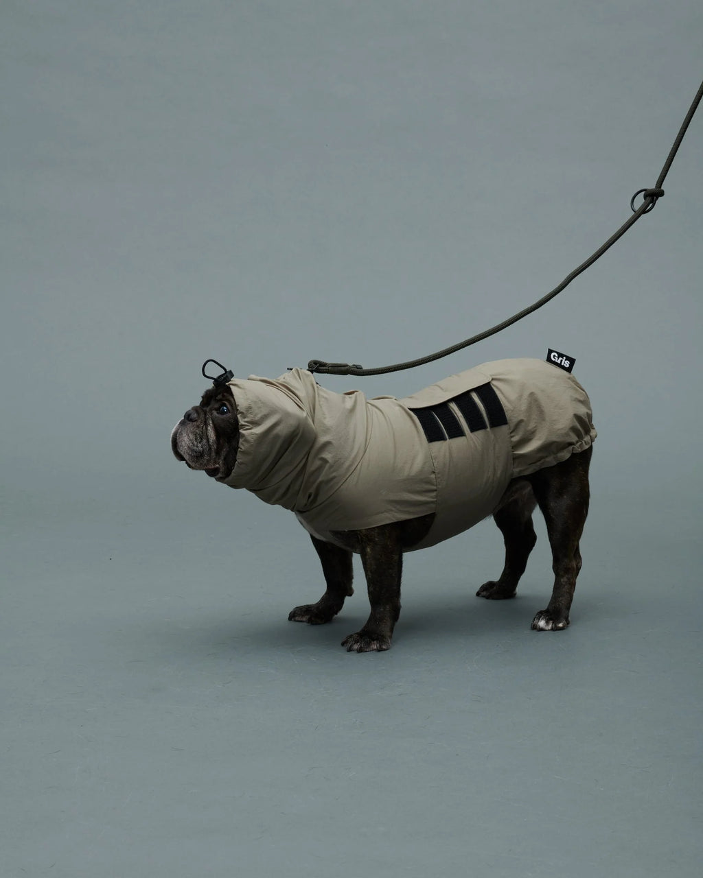 THE SHOULDER LEASH