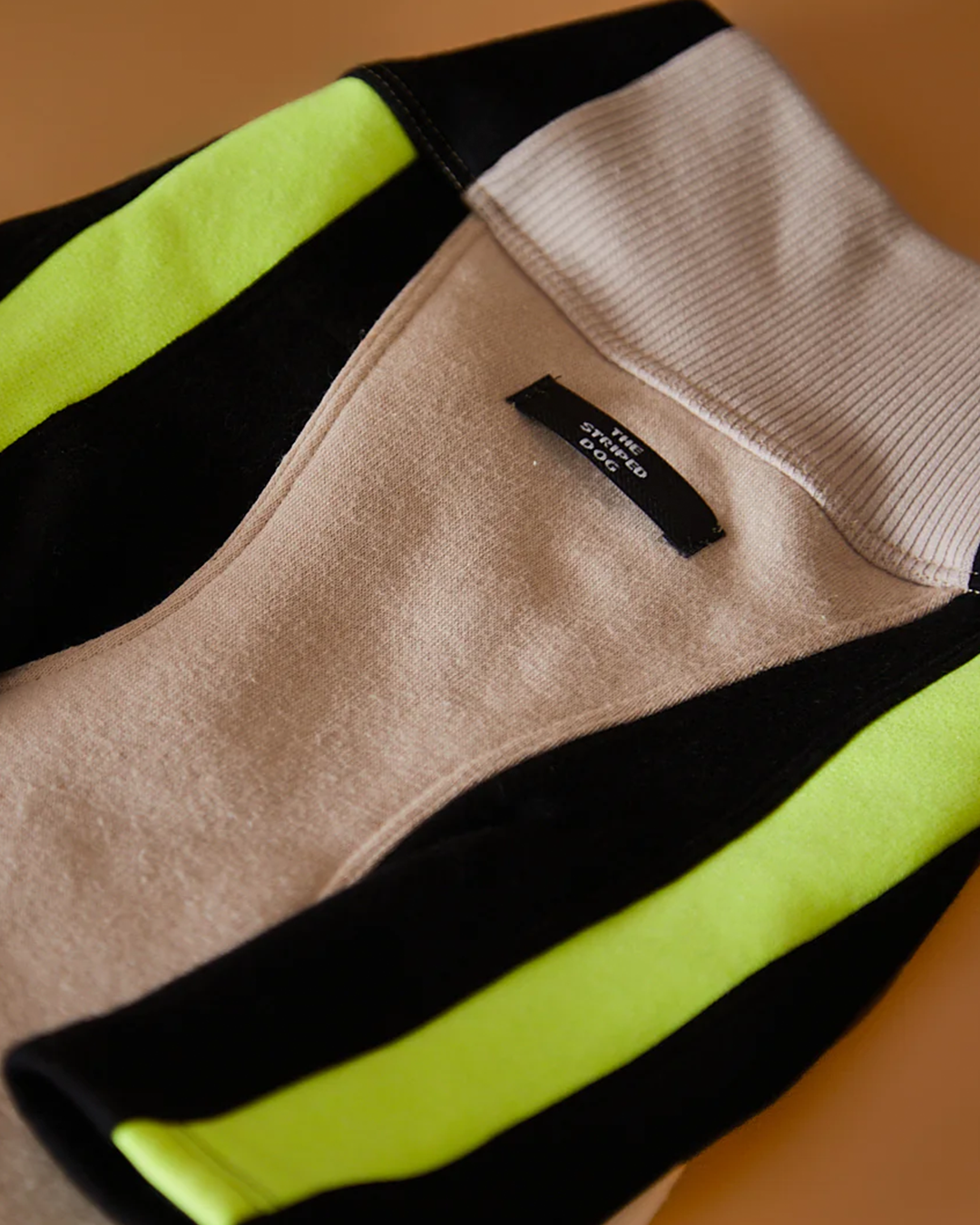 Italian Greyhound & Whippet Turtleneck Sweater BELLE