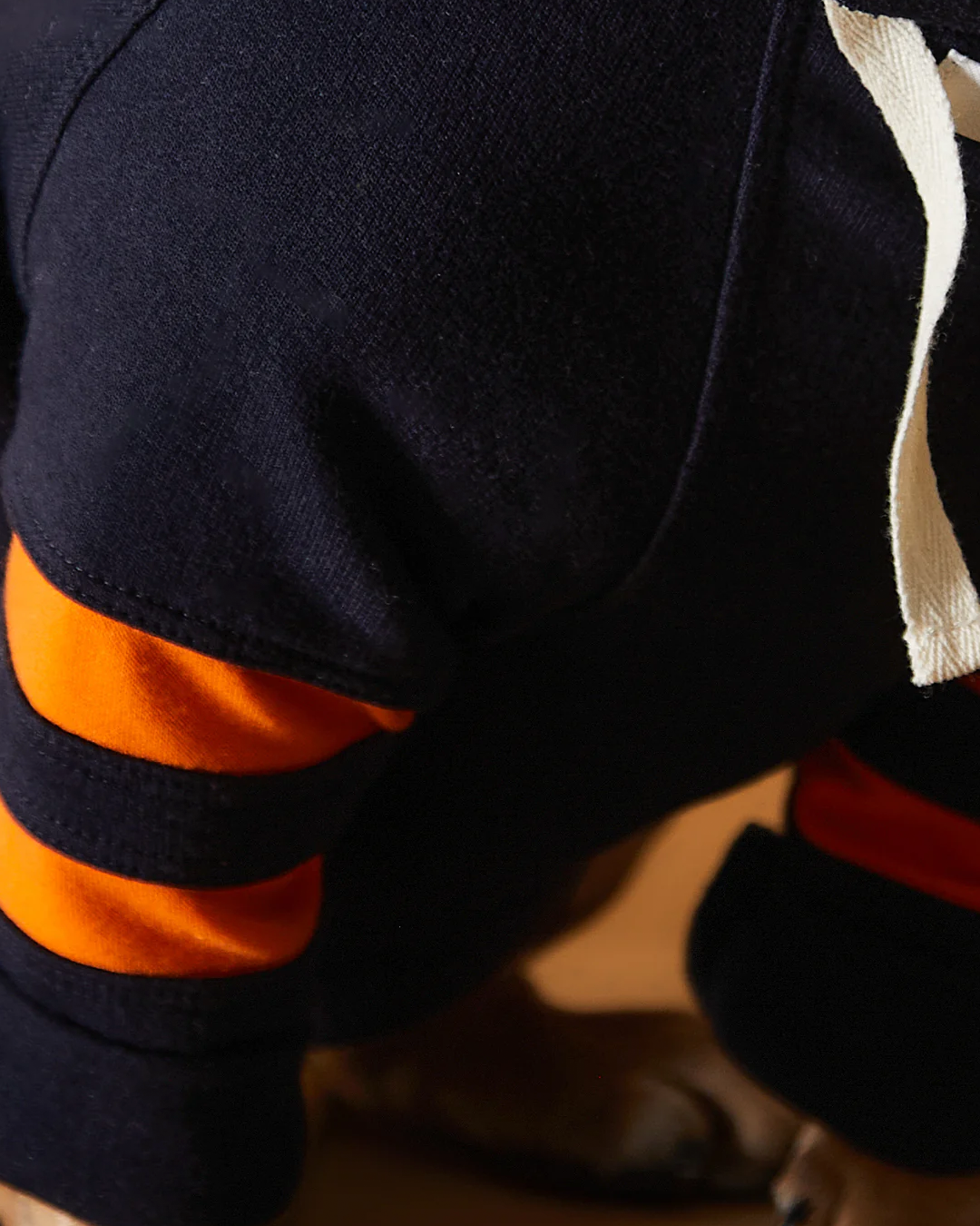 Dachshund Dark Blue Hoodie BRIE