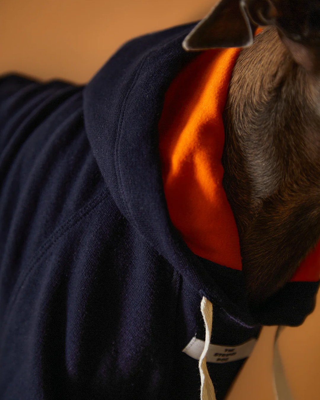 Italian Greyhound & Whippet Dark Blue Hoodie BRIE