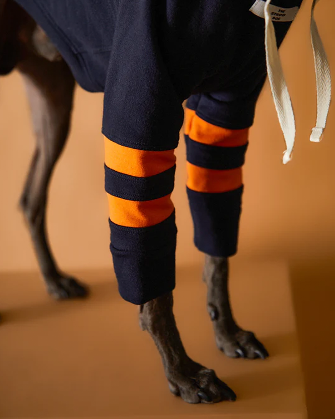 Italian Greyhound & Whippet Dark Blue Hoodie BRIE