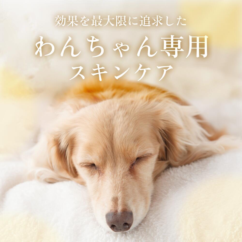 MEDIDOG MOIST LOTION　犬用スキン＆ブラッシングトリートメント 細胞エキス＆セラミド1ヵ月用サイズ（50ml）